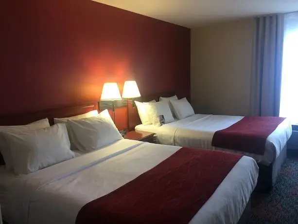 Comfort Inn and Suites University 