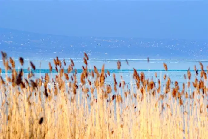 Hotel Azur Siofok 