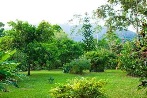 The Lodge & Spa at Pico Bonito