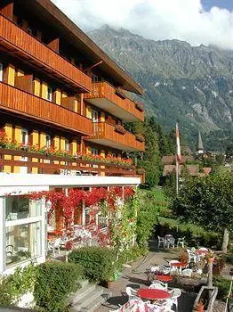 Hotel Bellevue-Wengen 