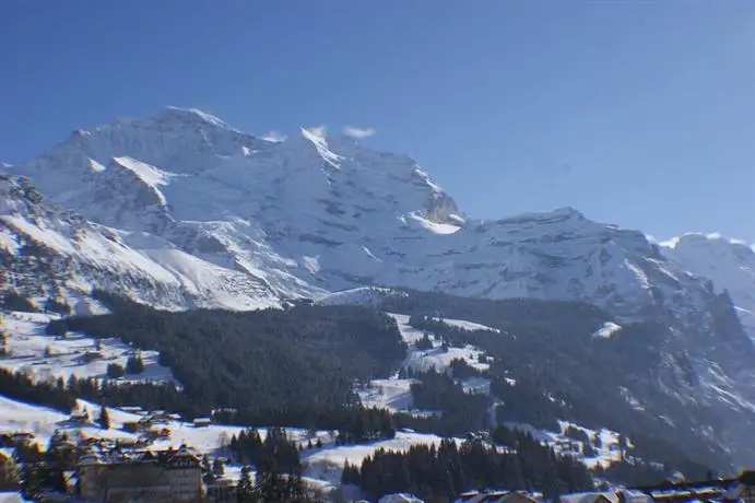 Hotel Jungfraublick