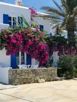 Anemos Apartments Mykonos Island 