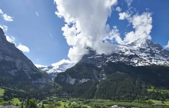 Hotel Spinne Grindelwald