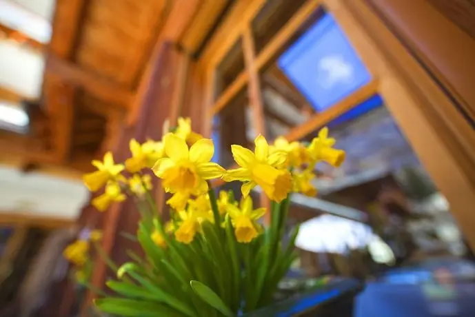 Sunstar Hotel Zermatt 