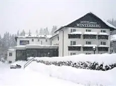 Hotel Winterberg Resort 