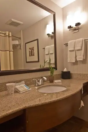 Hilton Garden Inn Columbus/Grove City 