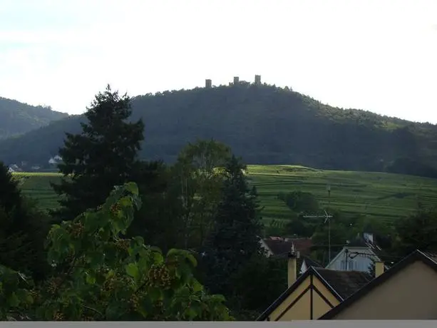 Hotel Colmar Vignes Eguisheim 