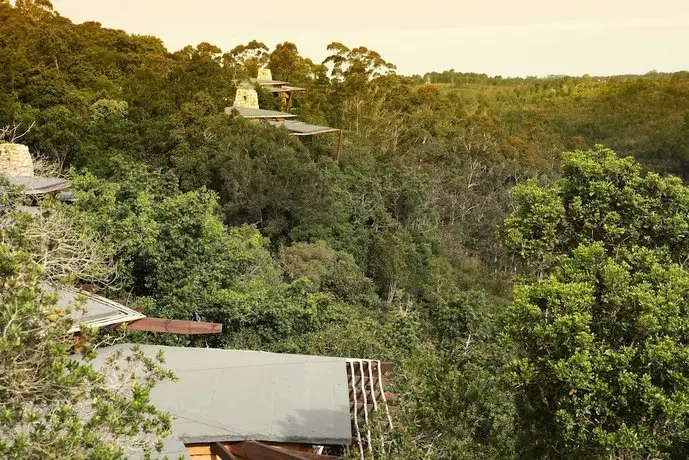 Tsala Treetop Lodge 