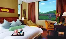 C&D Resort Wuyi Mountain 