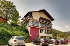 Hotel zum Neckartal Heidelberg 