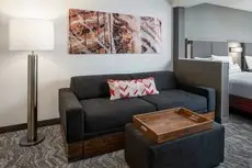 SpringHill Suites by Marriott Nashville Airport 