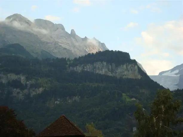 Hotel Alpbach 