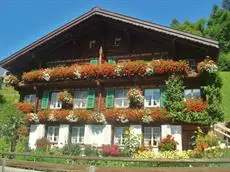 Hotel Edelweiss Lauterbrunnen 