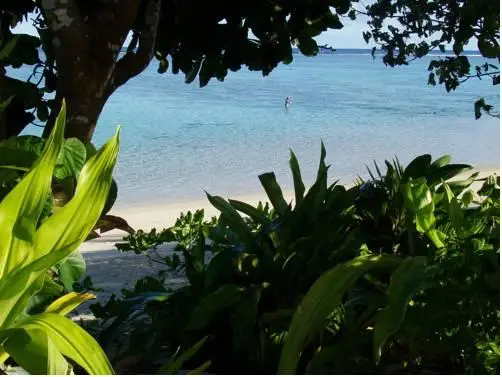 Palm Grove Rarotonga 