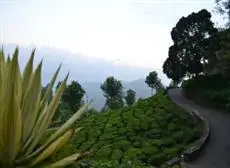 Club Mahindra Munnar 