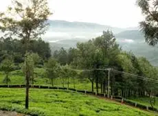 Club Mahindra Munnar 