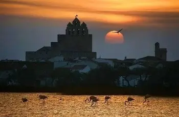 Hotel Les Palmiers En Camargue 