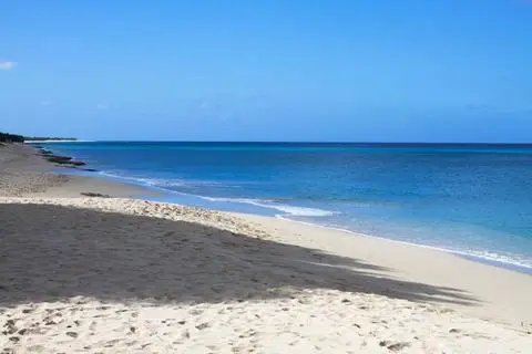 Sand Castle on the Beach 