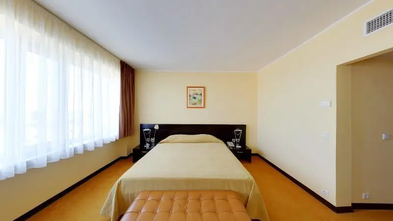 Hotel Continental Timisoara 