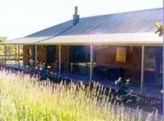 Lavender Farm 