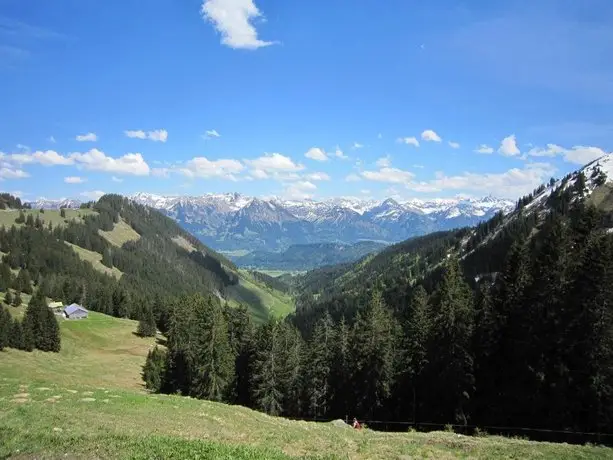 Bergbauernwirt im Landhaus Bolgental 