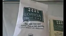 Hotel Loriga 