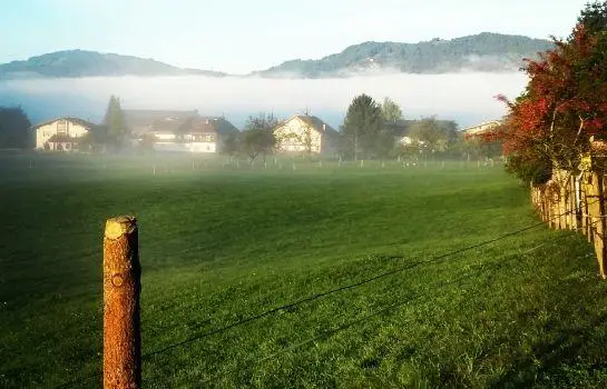 Hotel Gasthof Adler Lingenau 