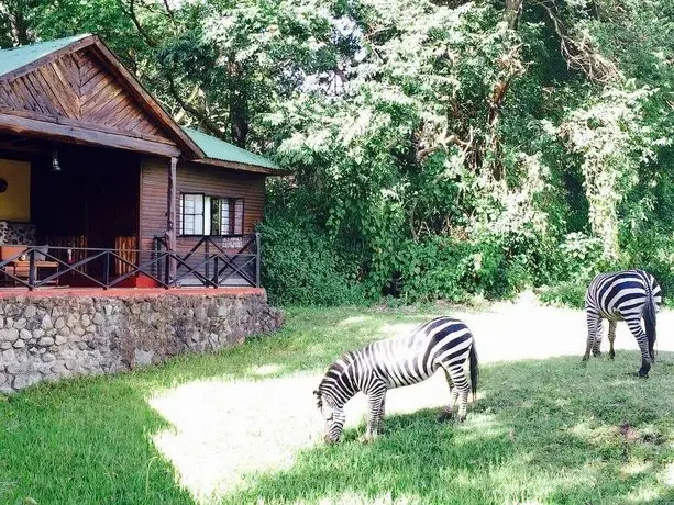 Mount Meru Game Lodge 