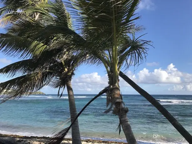 The Palms at Pelican Cove 