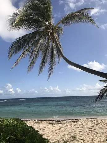 The Palms at Pelican Cove 