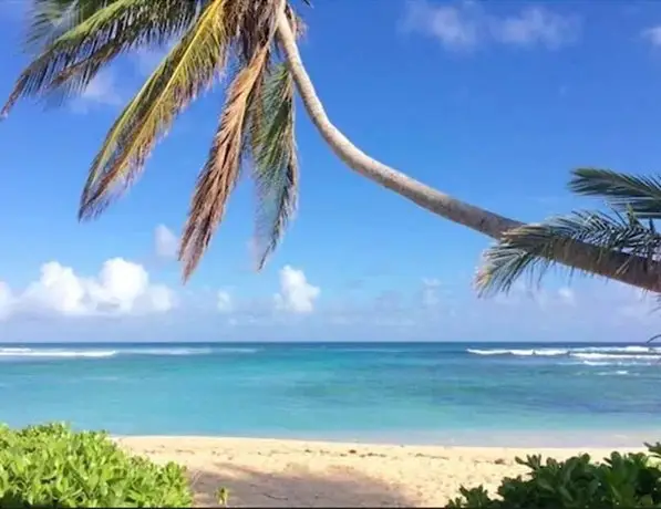 The Palms at Pelican Cove 