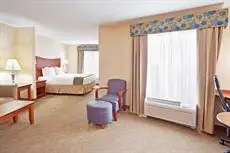 Holiday Inn Express Hotel & Suites Auburn Hills 