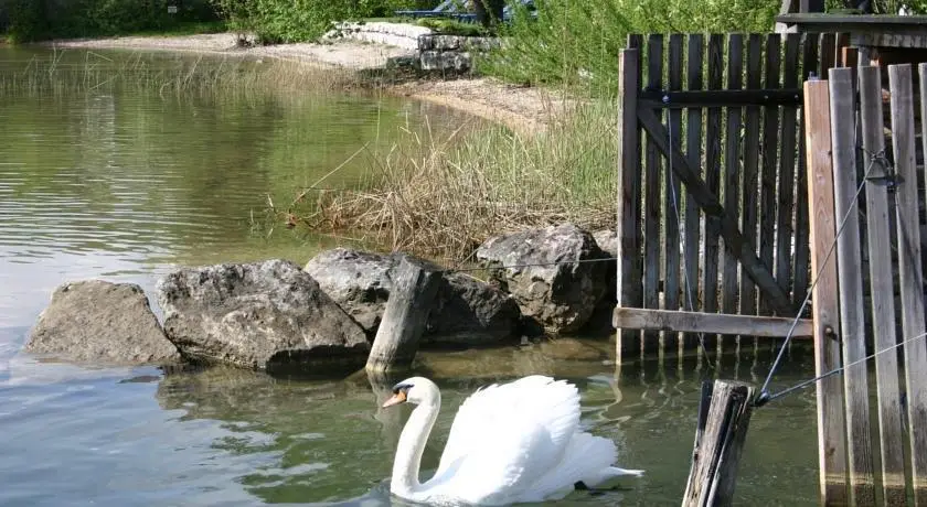 Landhotel Schutzenhof Fuschl am See 