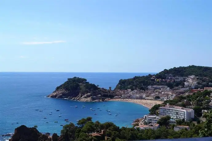 Delfin Tossa de Mar 