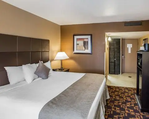 Quality Inn and Suites Denver Stapleton 