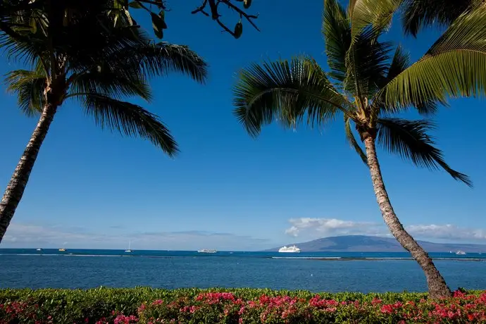 Lahaina Shores 