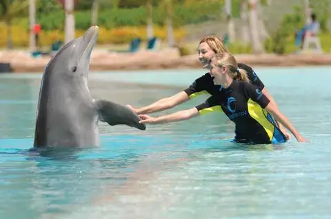 The Reef at Atlantis 