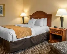 Comfort Inn & Suites Pittsburgh Pittsburgh 