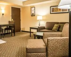 Comfort Inn & Suites Pittsburgh Pittsburgh 