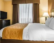 Comfort Inn & Suites Pittsburgh Pittsburgh 