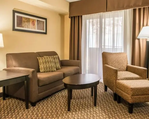 Comfort Inn & Suites Pittsburgh Pittsburgh 