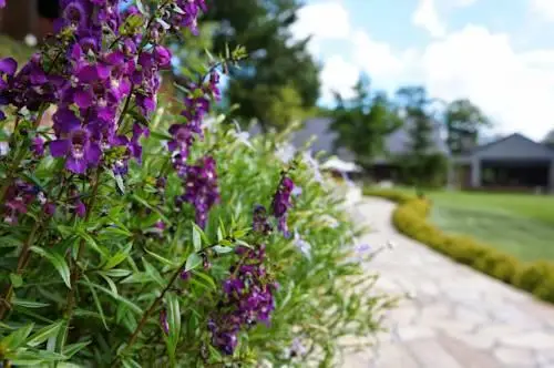 Hotel Sierra Resort Hakuba 