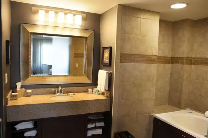 DoubleTree by Hilton Rochester - Mayo Clinic Area 