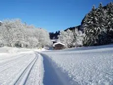 Hotel Trinserhof 