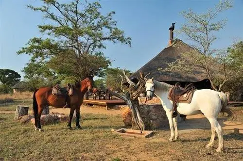 Kwafubesi Tented Safari Camp 