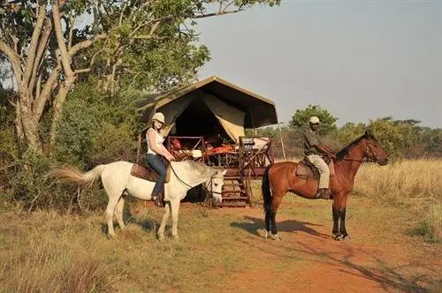 Kwafubesi Tented Safari Camp 