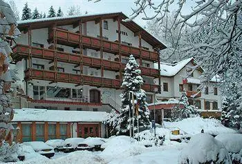 Holzschuh Schwarzwaldhotel