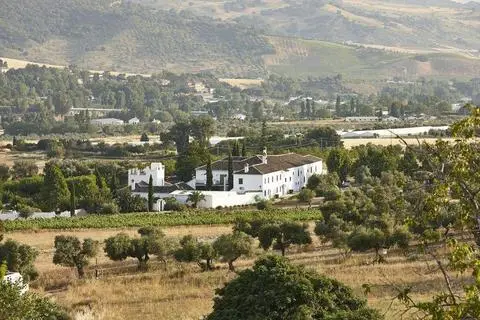 Molino del Arco 