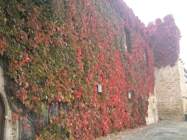 Parador de Olite 