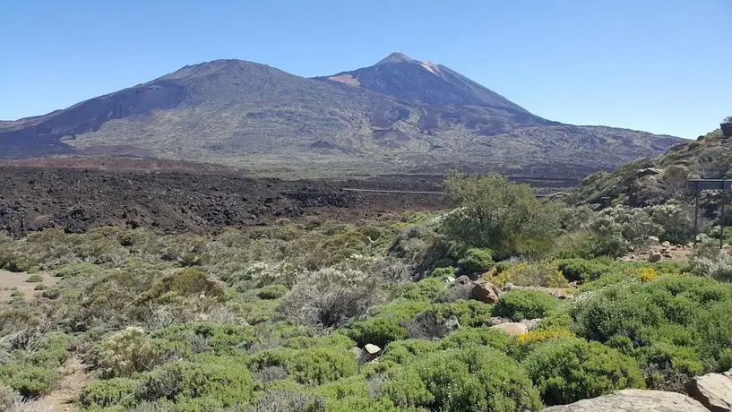 Hotel El Tejar 